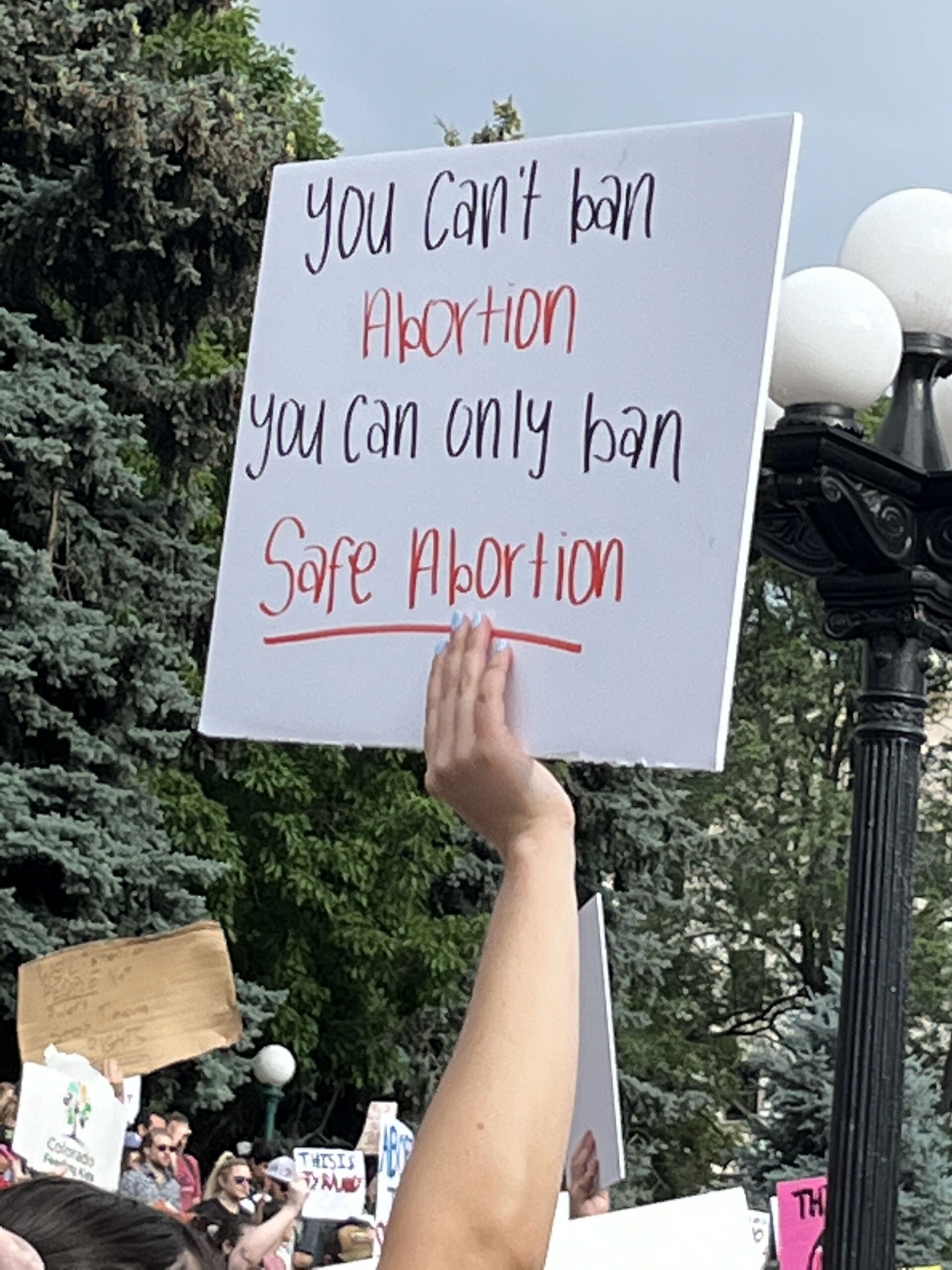 sign you can't ban abortion you can only ban safe abortion