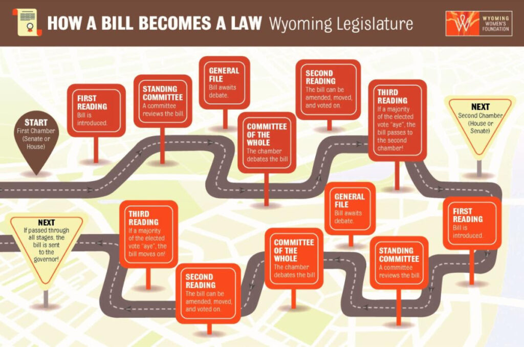 infographic on bill to law process