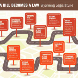 How a Bill Becomes a Law